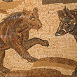 The Orpheus Mosaic (detail), Paphos, Cyprus